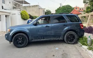Ford Escape 2010 Blue