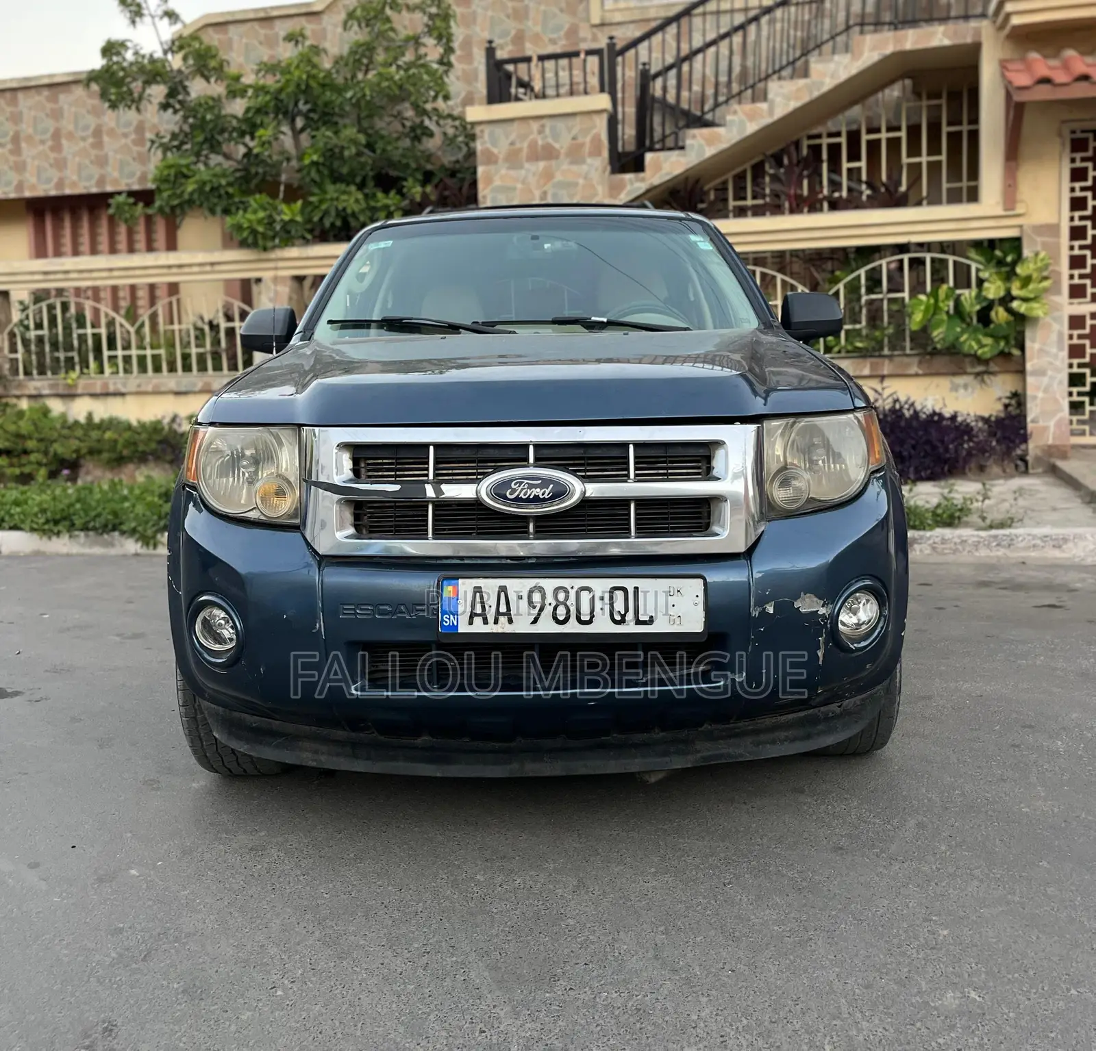 Ford Escape 2010 Blue