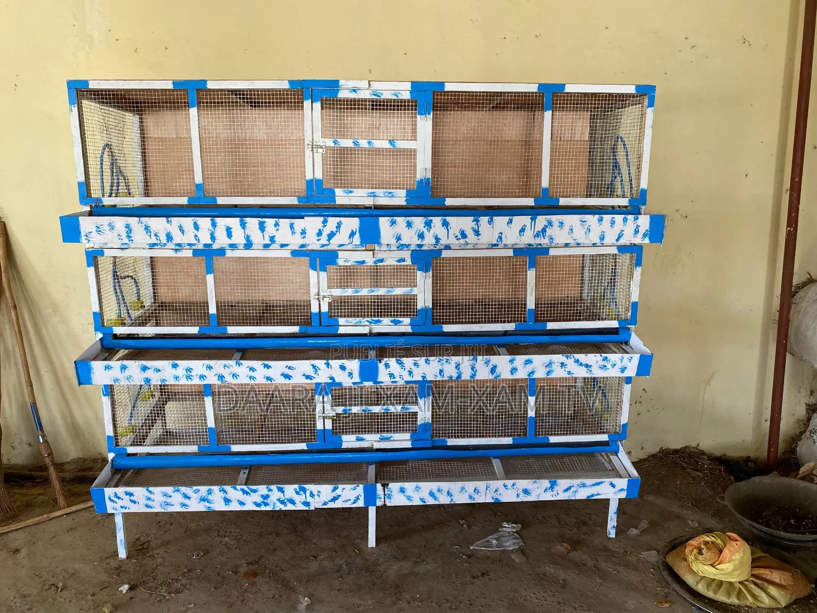 Cage De Caille Automatique