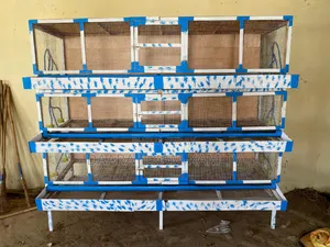 Cage De Caille Automatique