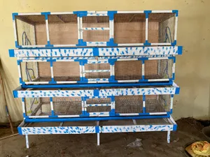 Cage De Caille Automatique