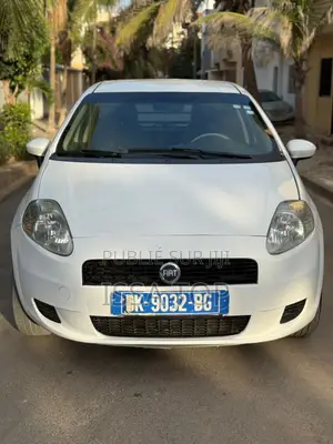 Photo - Fiat Punto 2009 Blanc
