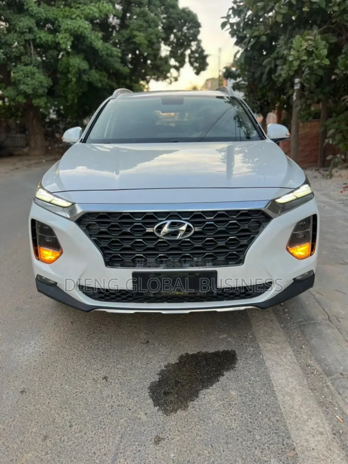Hyundai Santa Fe 2019 Blanc