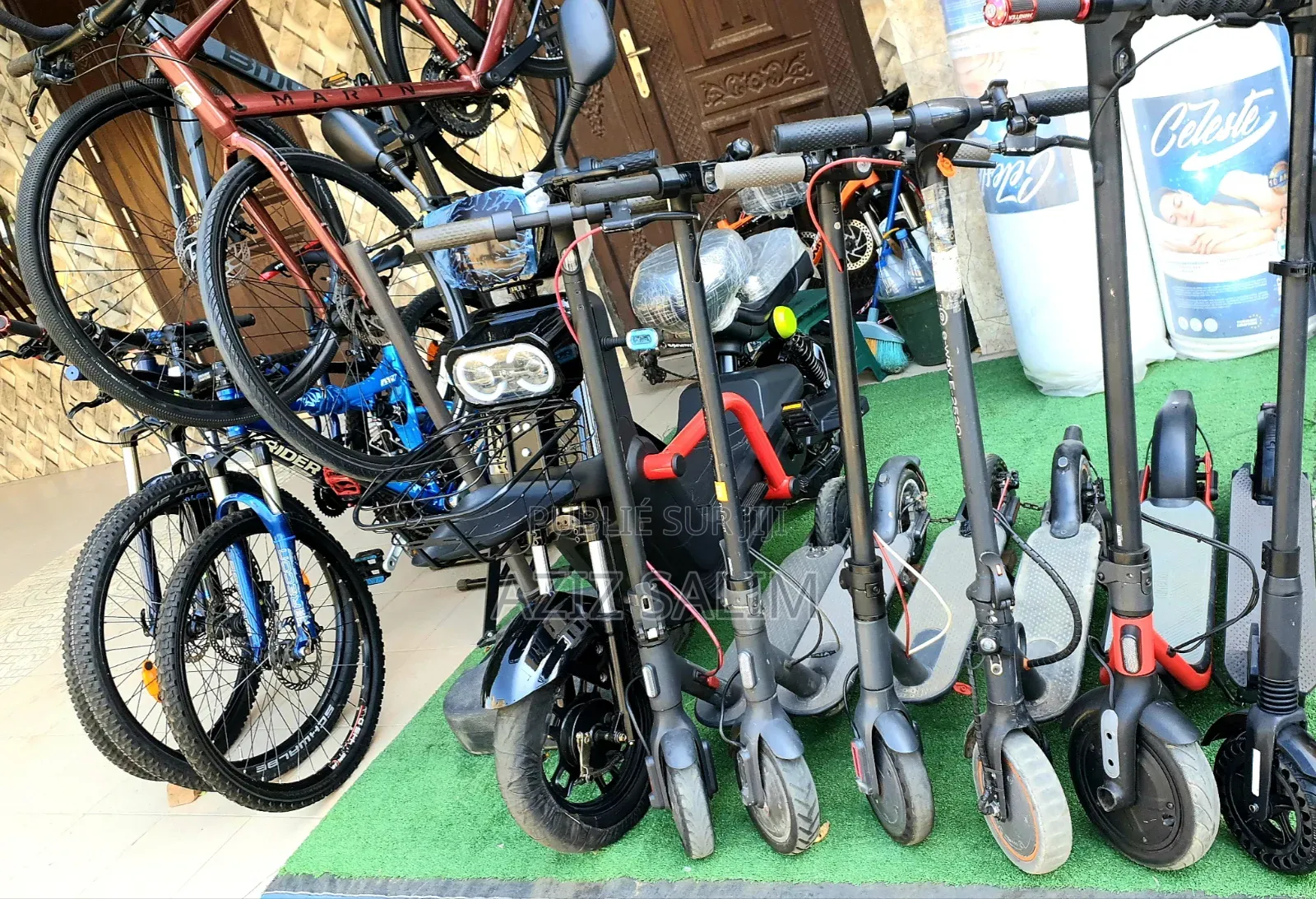 Trottinette Electrique Toute Gamme