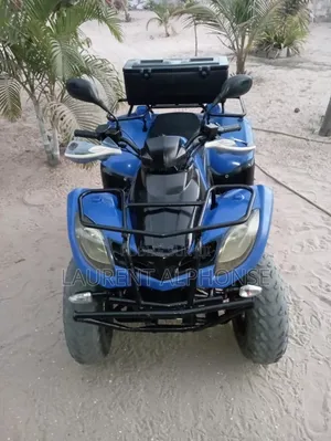 Photo - Kymco Agility 2010 Blue