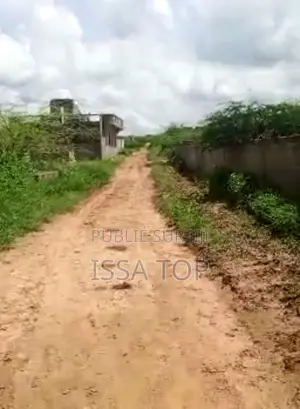 Terrain Tf De 400 M2 a Ndayane