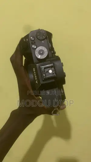 Boîtier Sony A7rll Avec Deux Batteries