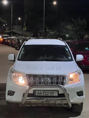 Photo - Toyota Land Cruiser Prado 2010