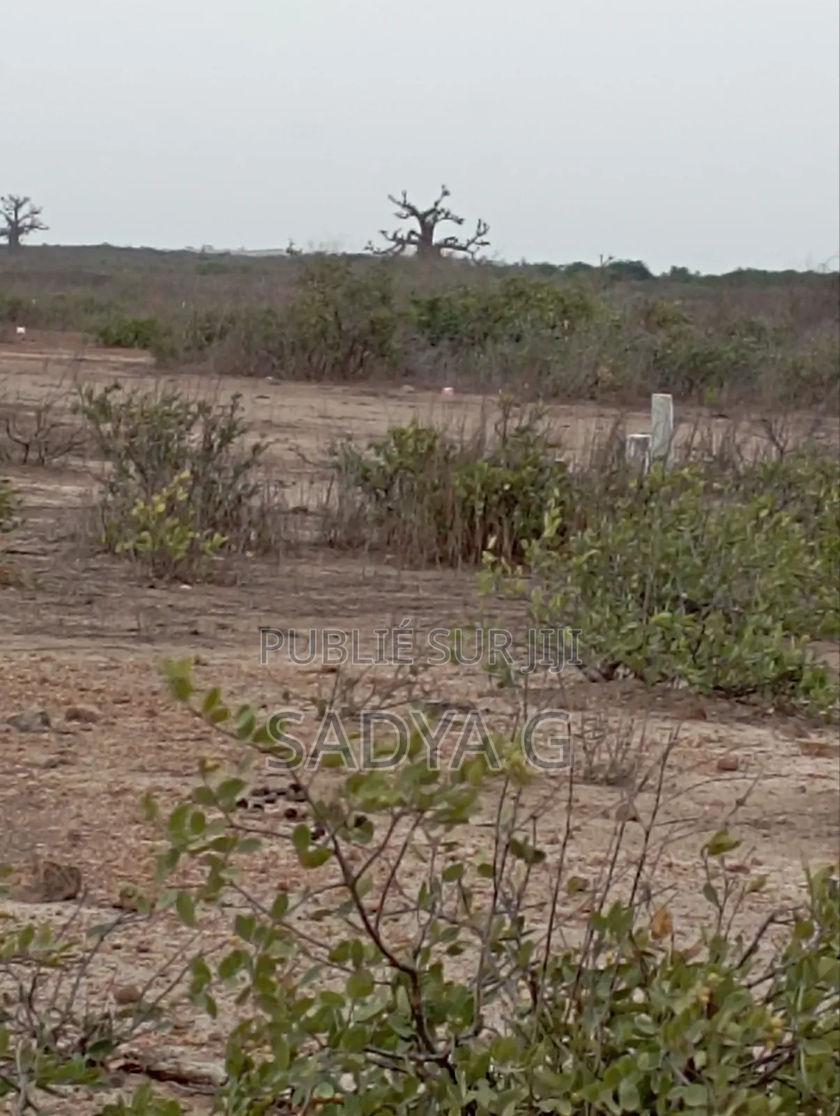 Terrain Nu De 225m2 Route De Montrolland Thiès