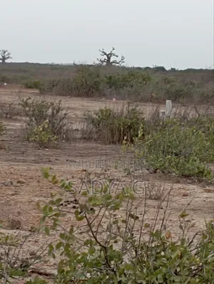 Photo - Terrain Nu De 225m2 Route De Montrolland Thiès