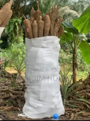 Photo - Sac Manioc