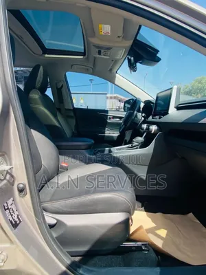 Toyota RAV4 2020 Gris