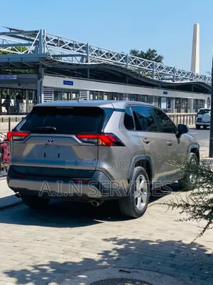 Toyota RAV4 2020 Gris