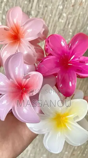 Accessoires Pour Les Cheveux