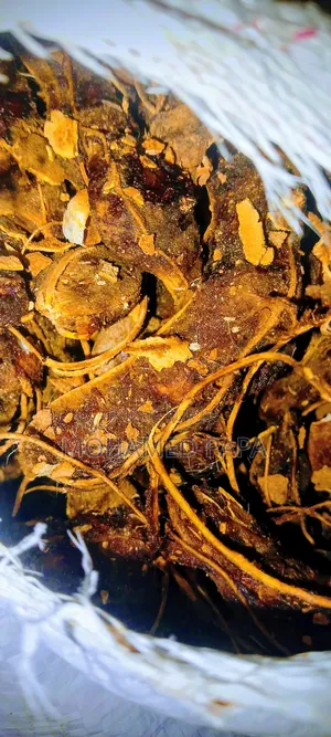 Photo - Tamarin Importé Inde