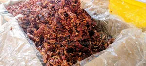 Tamarin Importé Inde