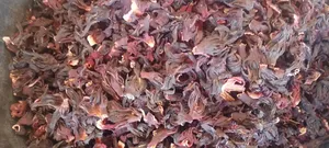 Bissap De Gros Feuille