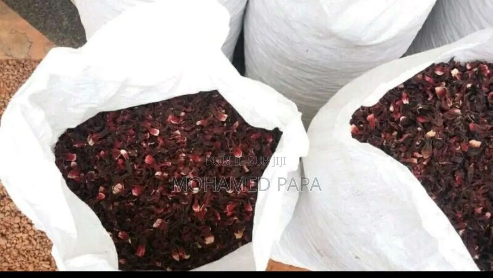 Bissap De Gros Feuille