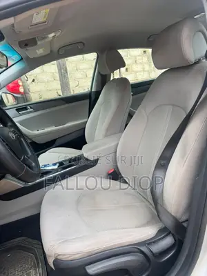 Hyundai Santa Fe 2016 Gris