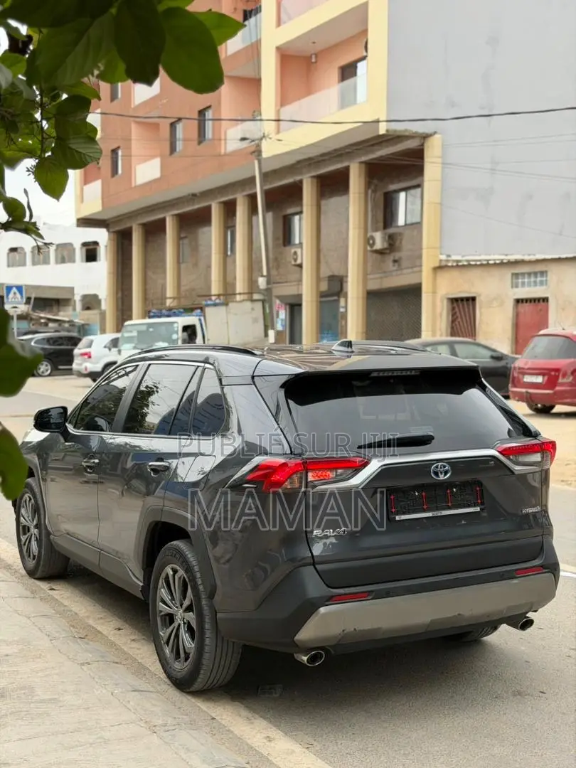 Toyota RAV4 2024 Gris