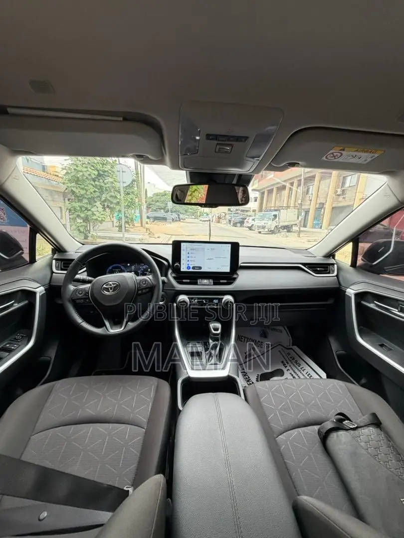 Toyota RAV4 2024 Gris