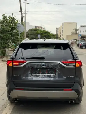 Toyota RAV4 2024 Gris