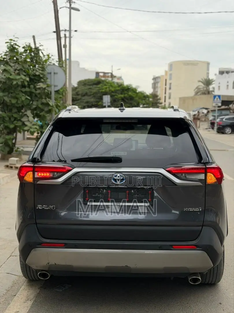 Toyota RAV4 2024 Gris