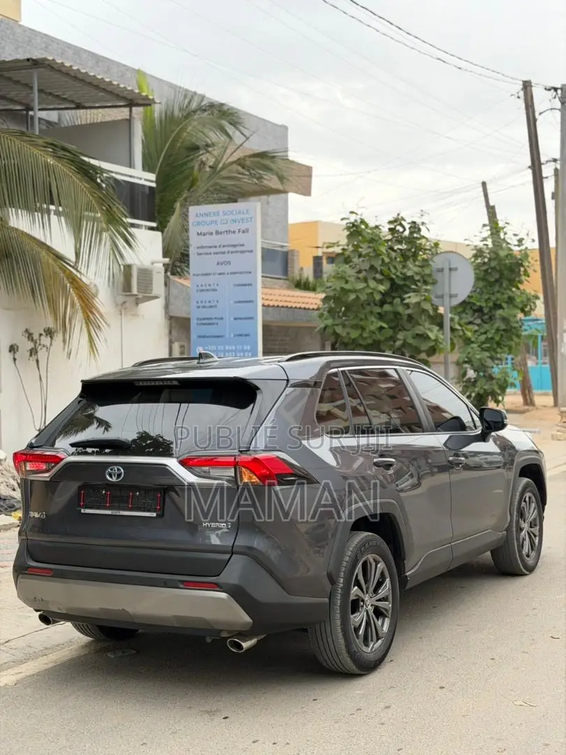Toyota RAV4 2024 Gris