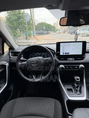 Toyota RAV4 2024 Gris