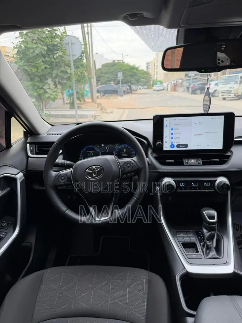 Toyota RAV4 2024 Gris