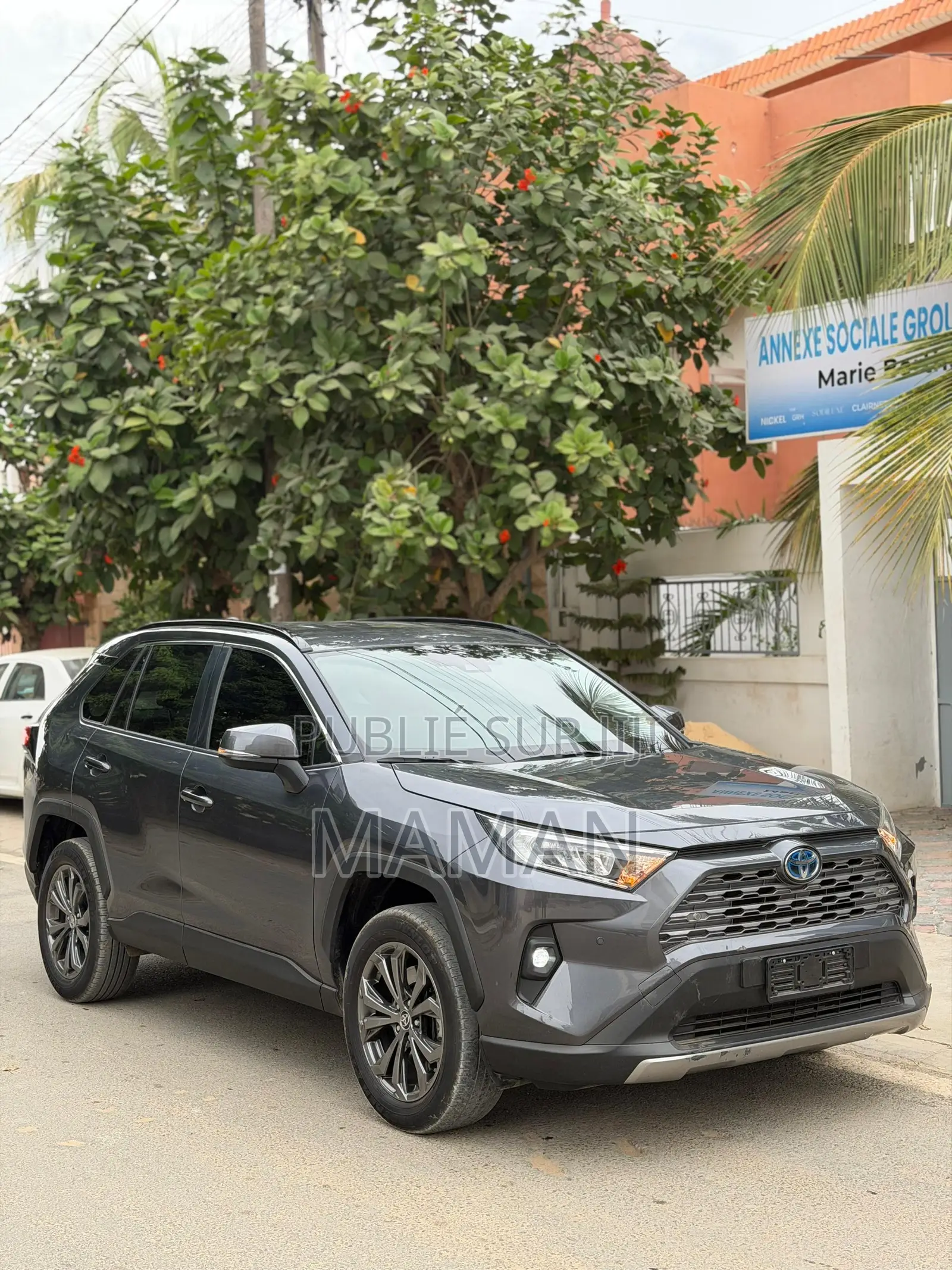 Toyota RAV4 2024 Gris