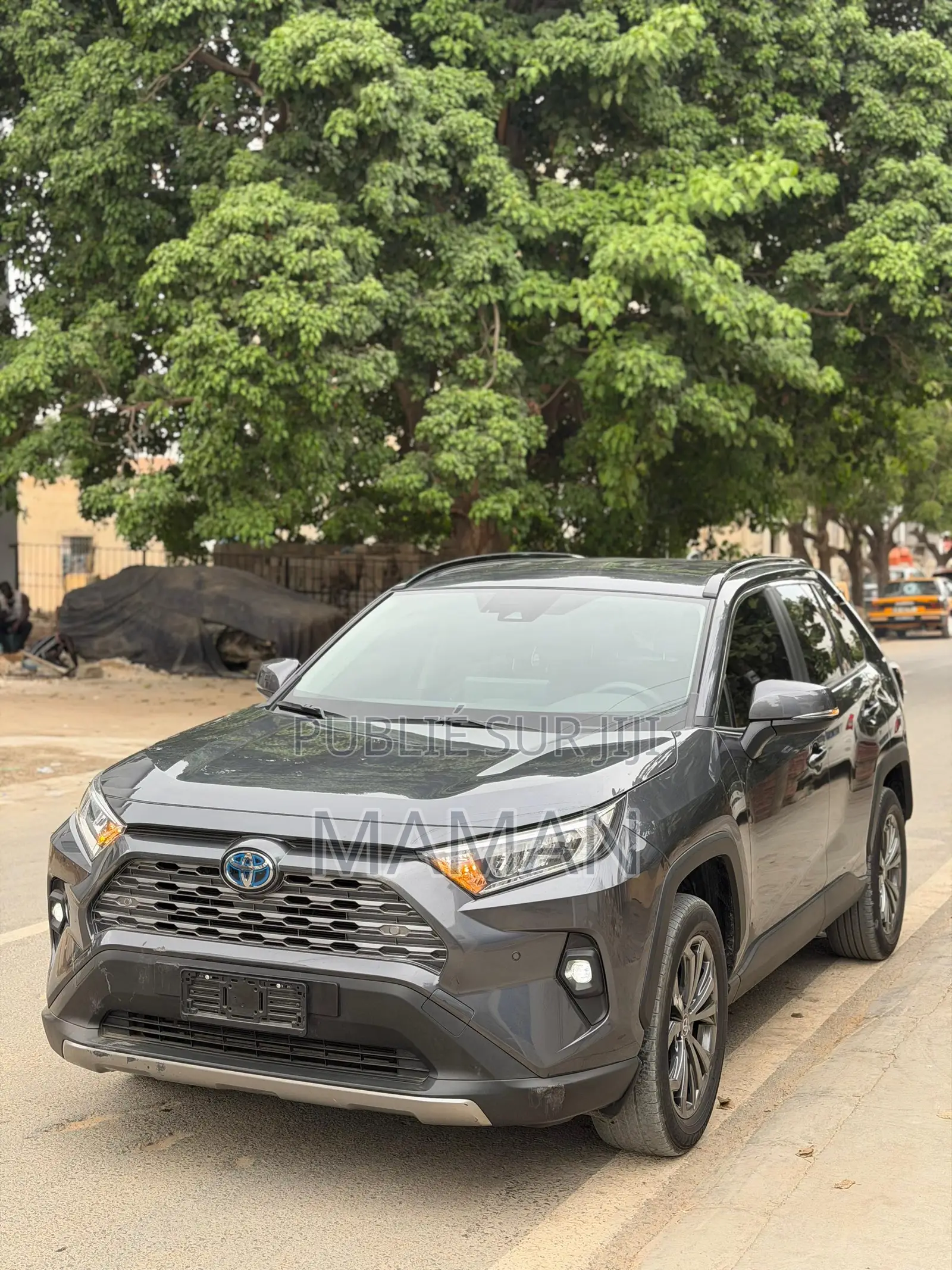 Toyota RAV4 2024 Gris