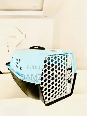 Accessoires Pour Chiens