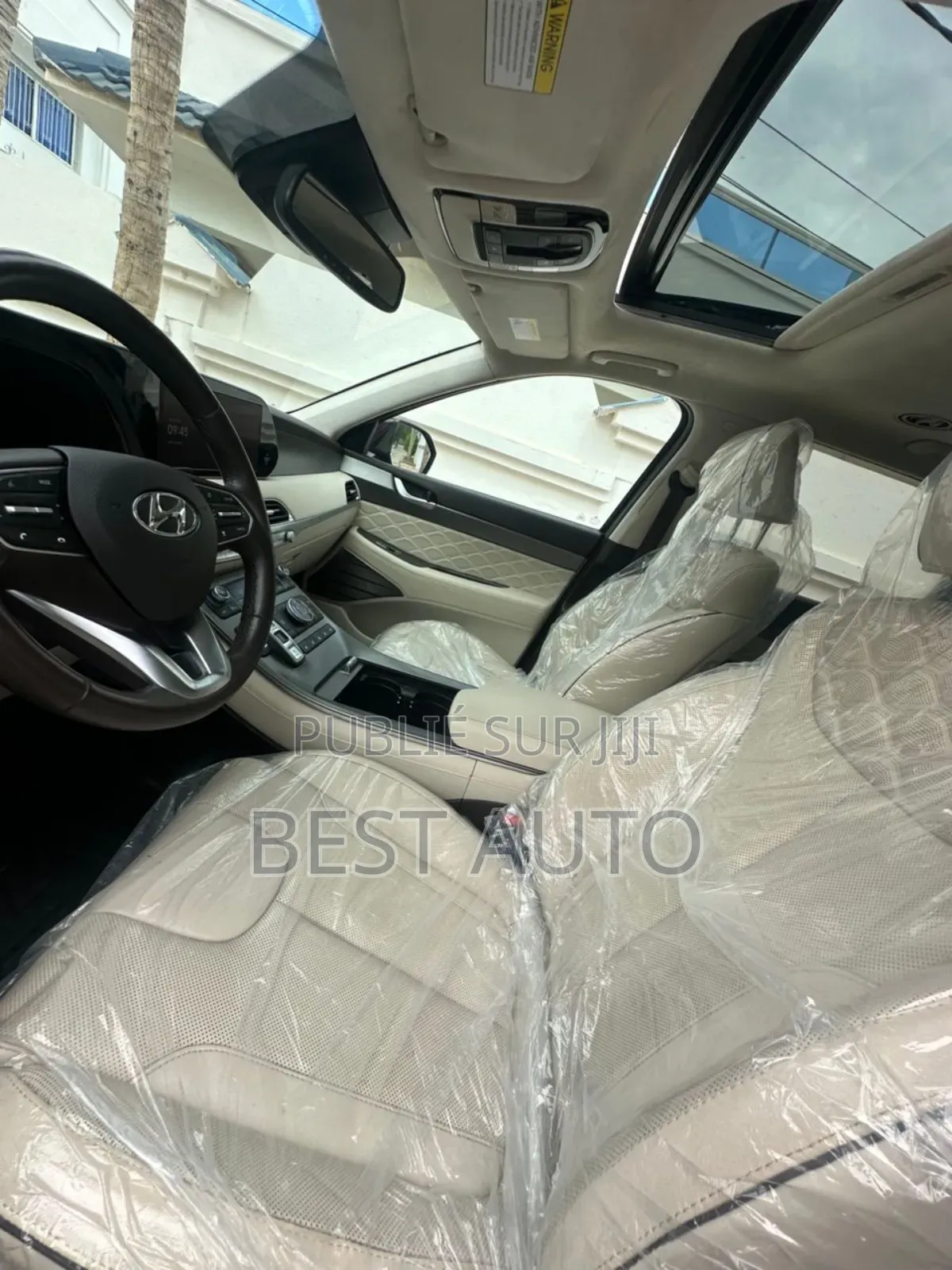 Hyundai Palissade 2021 Beige