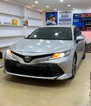 Toyota Camry LE (2.5L 4cyl 8A) 2019 Gris