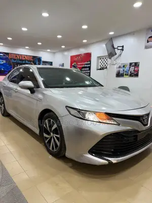 Toyota Camry LE (2.5L 4cyl 8A) 2019 Gris