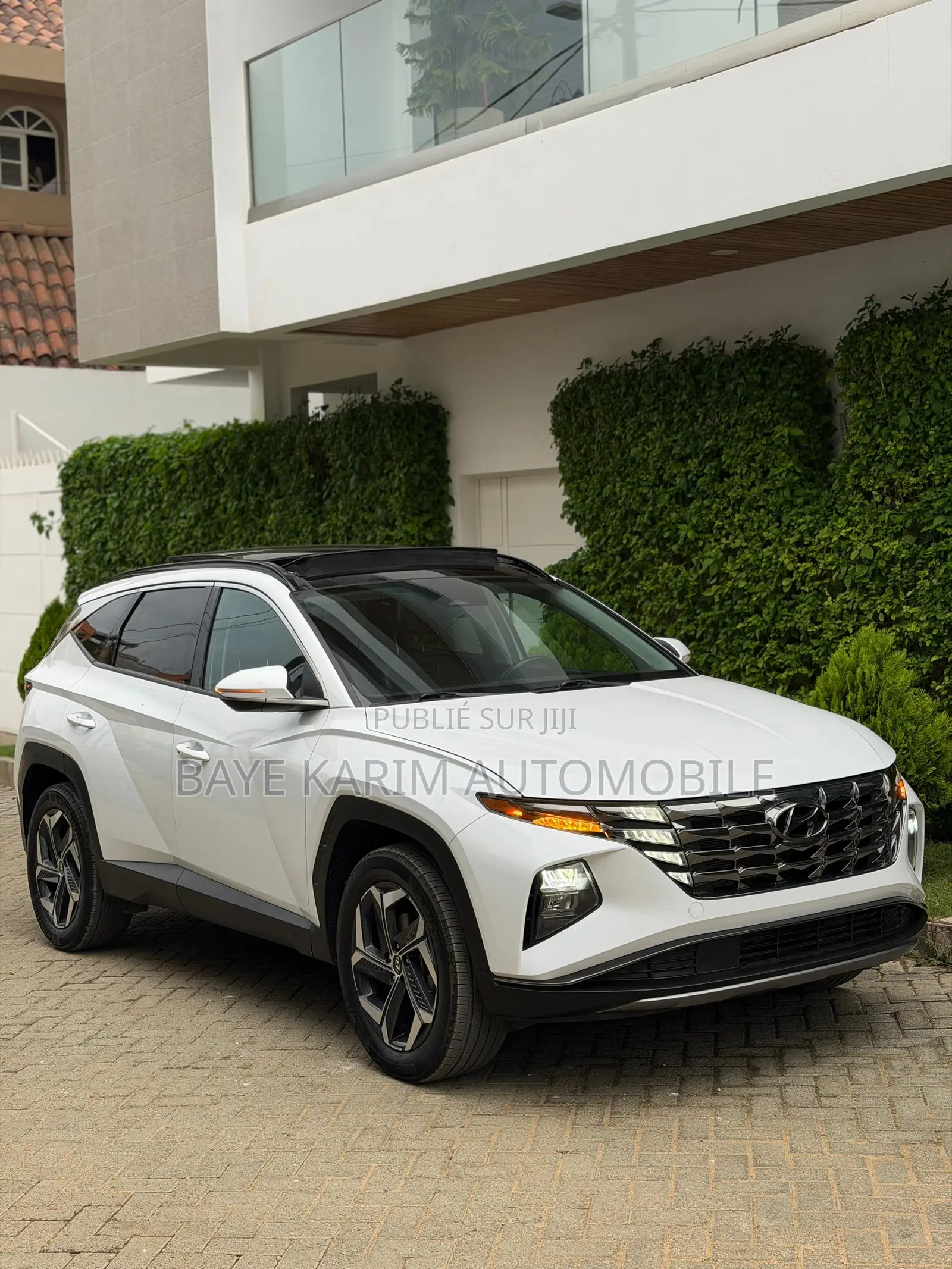 Hyundai Tucson Limited 2024 Blanc
