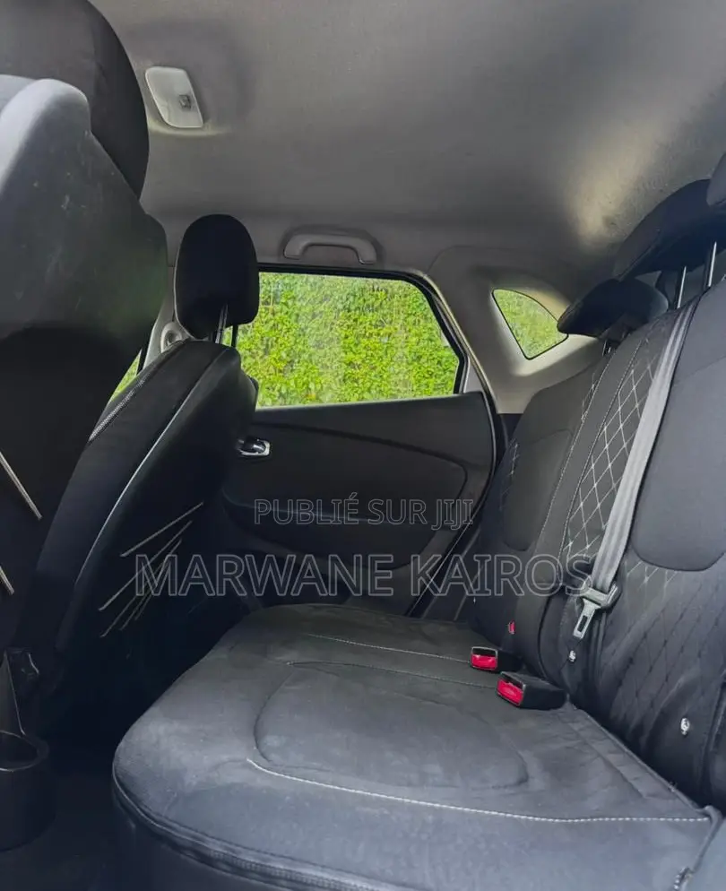 Renault Samsung QM3 2017