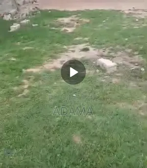 Photo - Terrain a Vendre