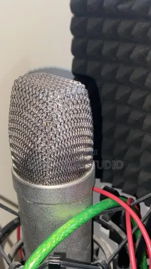 Micro Professionnel Pour Podcast