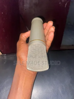 Micro Professionnel Pour Podcast