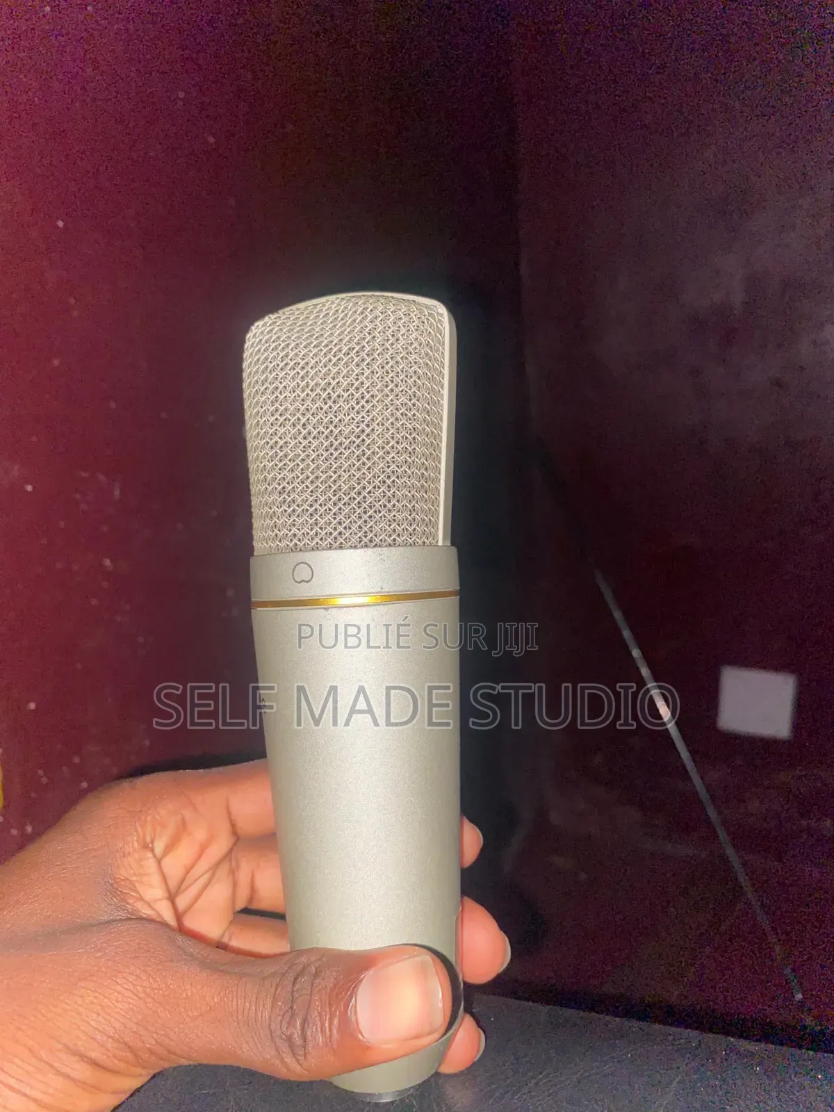 Micro Professionnel Pour Podcast