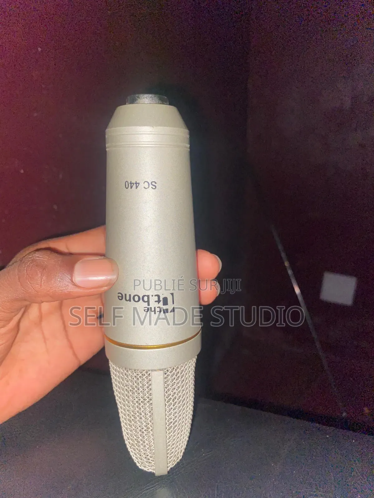 Micro Professionnel Pour Podcast