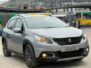 Photo - Peugeot 2008 2018 Gris