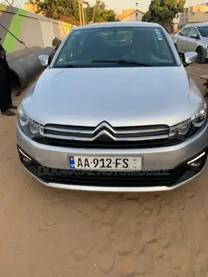 Photo - Citroen C-Elysee 2014 Gris