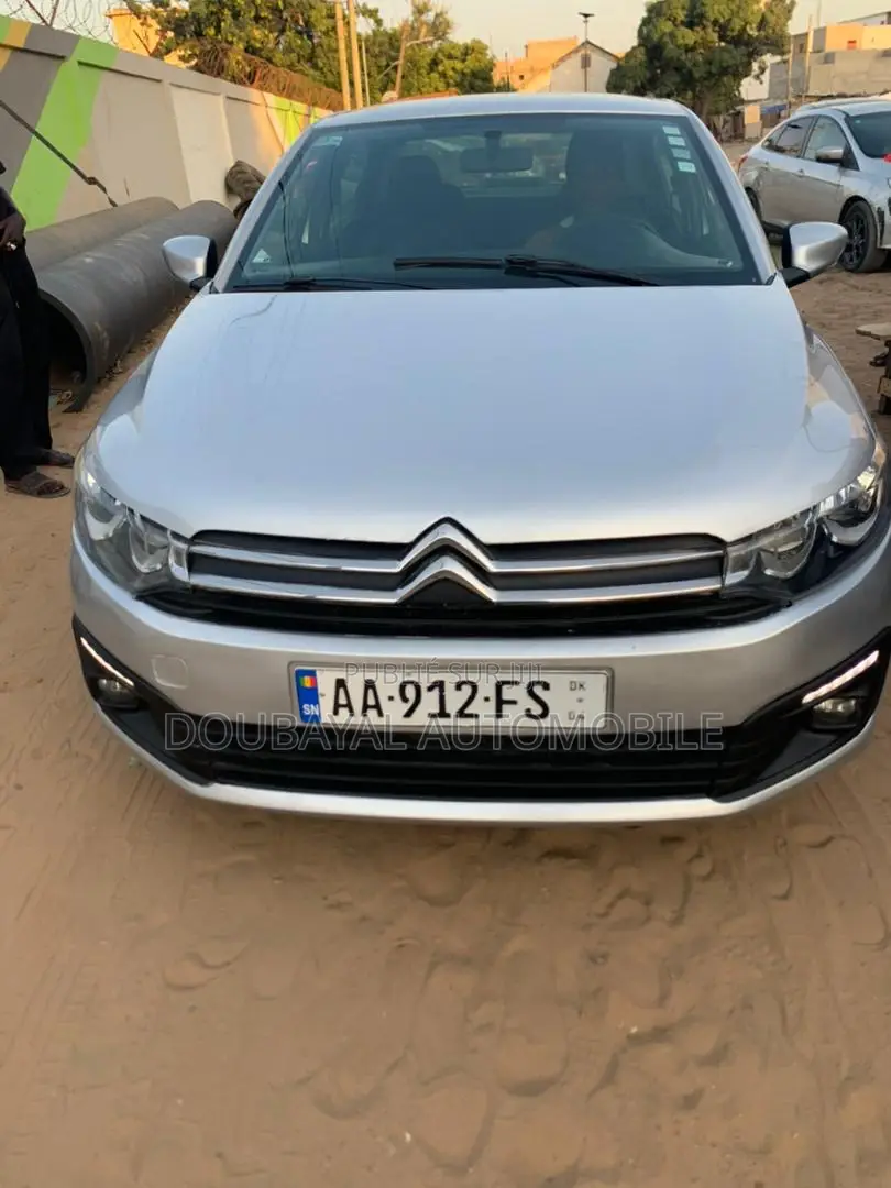 Citroen C-Elysee 2014 Gris