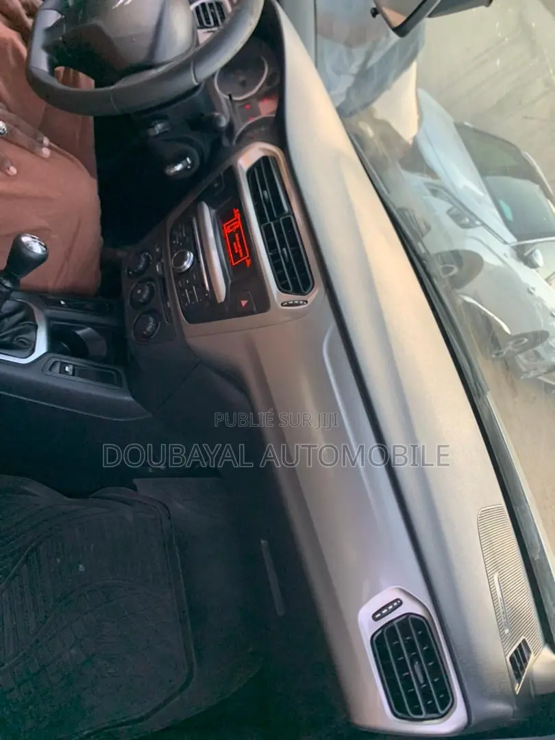 Citroen C-Elysee 2014 Gris