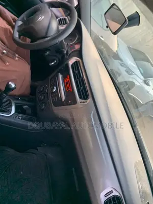 Citroen C-Elysee 2014 Gris