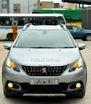 Photo - Peugeot 2008 2018 Gris