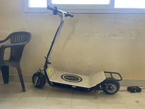 Trottinettes Électrique